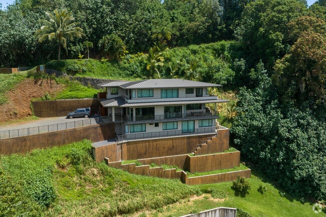 Hanalei's real estate market attracts both local buyers and international investors.