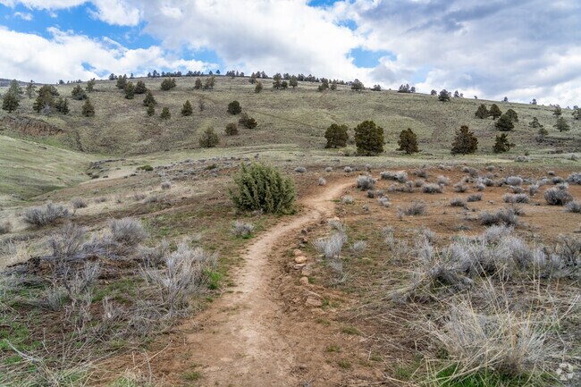 Hogback Mountain offers steep trails and a beautiful view of the city of Altamont below.