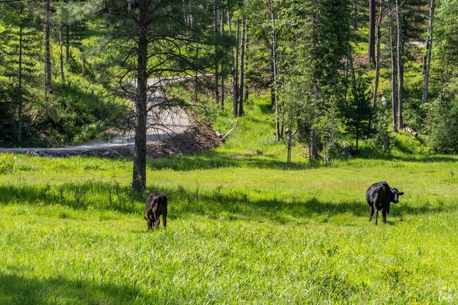 Pinehurst is a rural town that is home to many farmers and ranchers.