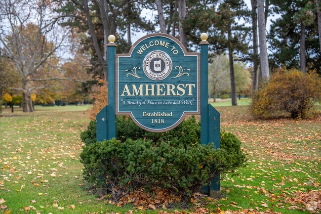 Eggertsville is a vibrant suburban neighborhood nestled within the town of Amherst.