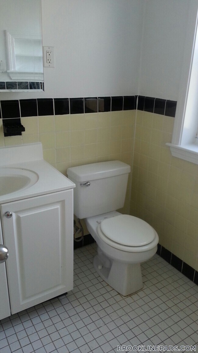 115 Gerry Rd, Chestnut Hill, MA 02467 - photo 3