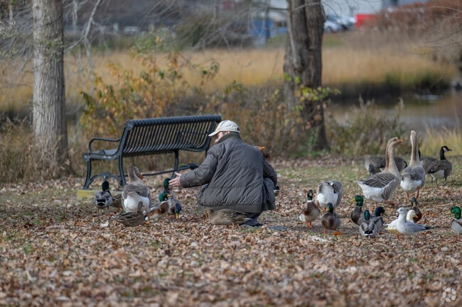 A serene way to spend an afternoon in the Acushnet neighborhood may be to converse with birds.