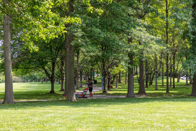 The Heritage Park in Cranbury has many walking paths for residents to enjoy nature.