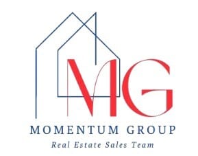 Momentum Group