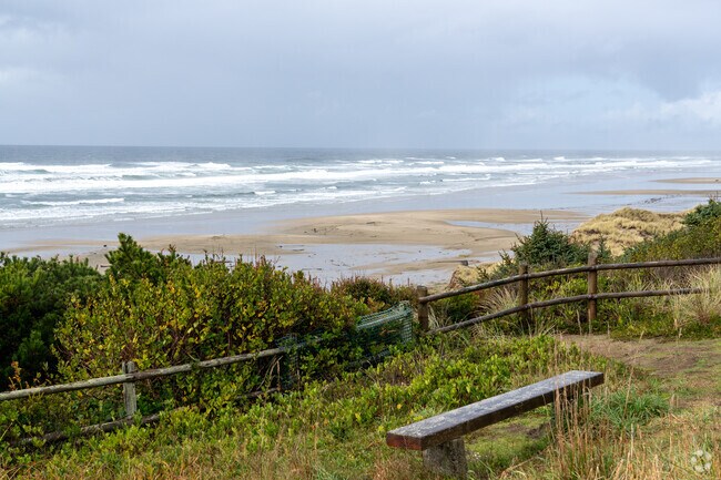 Enjoy the stunning views of Driftwood State Park.