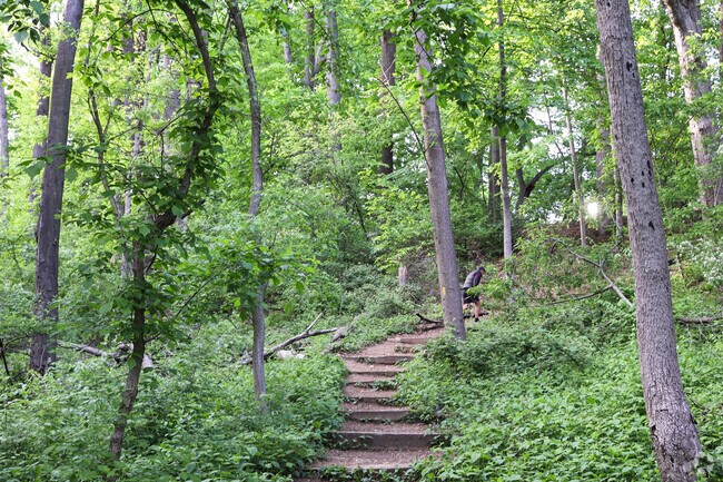 Meander through Glover Archbold Park's many long trails in Cathedral Heights.