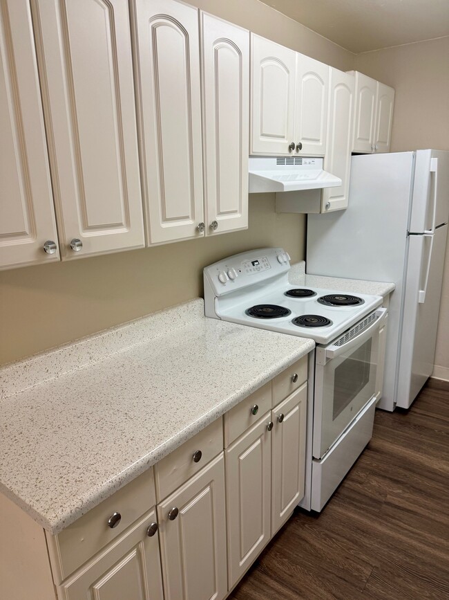 Olive Court Apartments, Fair Oaks, CA 95628 - photo 3