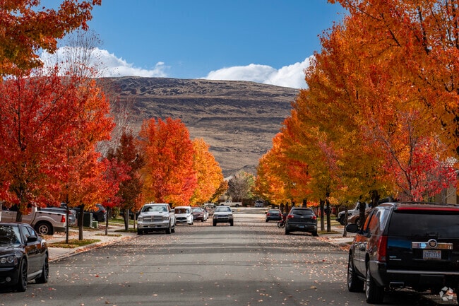 The trees in Wingfield Springs light up in Fall, creating a warm transition to winter.