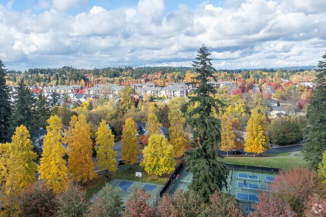 Jack Park enjoys stunning views of the neighborhood.