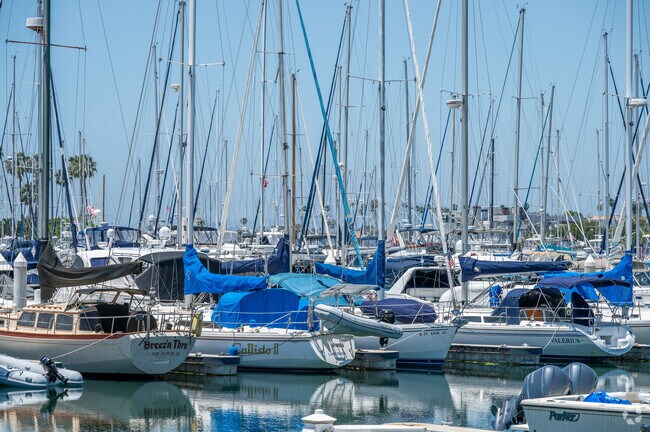 Naples has a lively boating culture with many residences owning a yacht in various sizes.