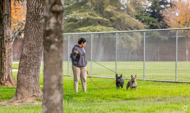 Cornerstone Park is the place to walk those restless pets.
