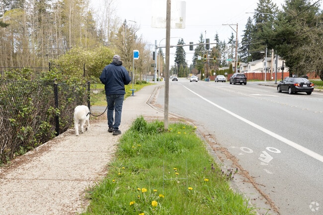 With quiet streets and many sidewalks, Meadowdale is a great place to go on a walk.