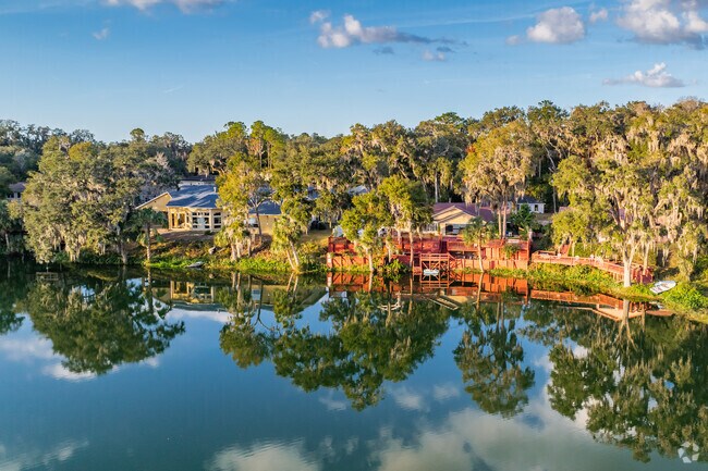 Wake up in the morning to see this amazing nature out your window and pinch yourself in Dunnellon.