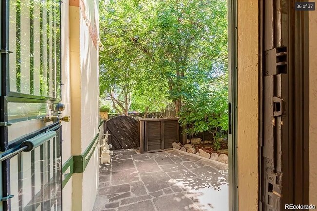 Side Courtyard
