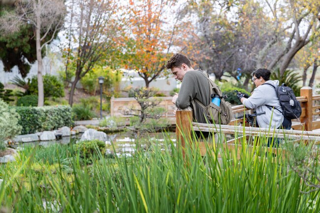 The Japanese Garden at Cal Poly near Ramona can be a peaceful break from a busy work week.