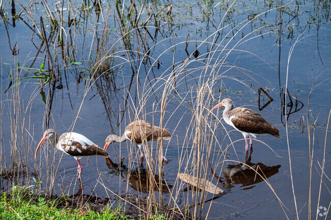 Snake Warrior Island Natural Area is a 53-acre urban oasis blending history, ecology, and recreation.