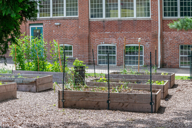 Elm City Montessori School has a vegetable garden.