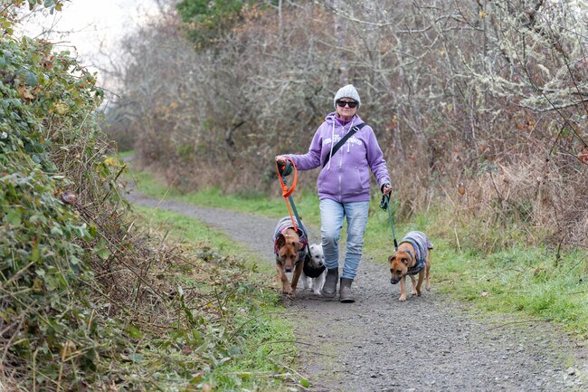 Arcata Marsh and Wildlife Sanctuary is a great p[lace to walk your dogs.