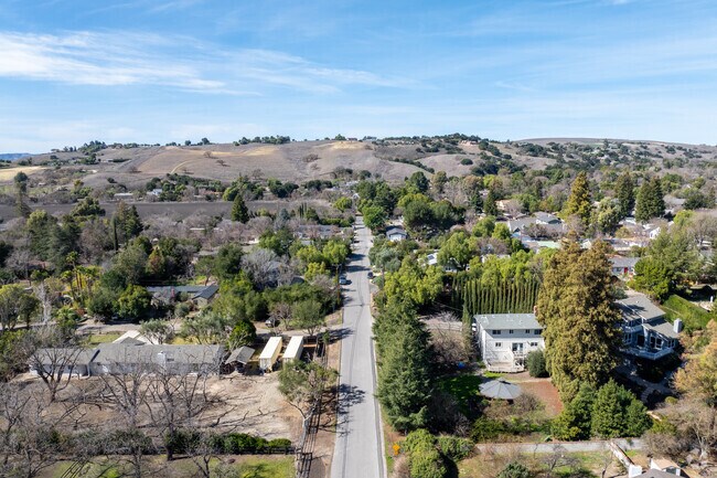 Residential streets in Los Olivos are full of greenery.