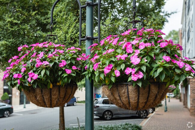 Many colorful plants and flowers dot the landscape of the Sharon Woods neighborhood.
