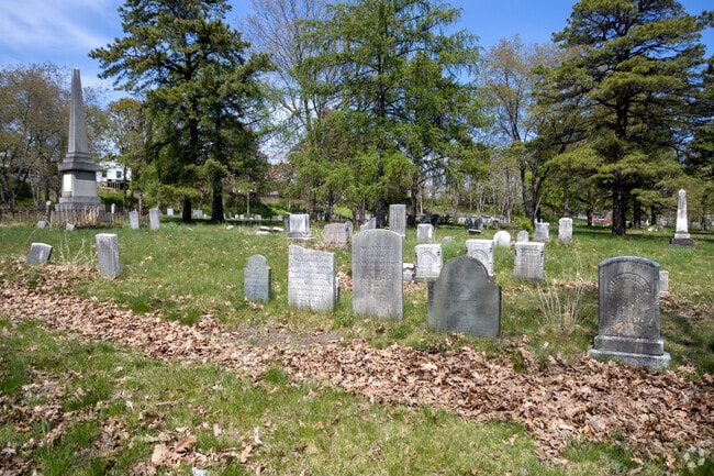 The Western Cemetery is a wistful and peaceful place in West End.