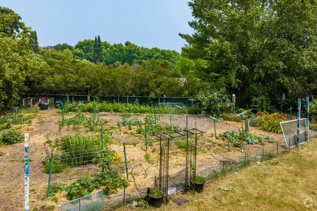 The student garden behind John Muir Elementary School in Madison grows many plants.