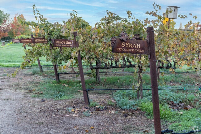 The Sunwest neighborhood of Lodi loves showcasing the different types of wine in Lodi.