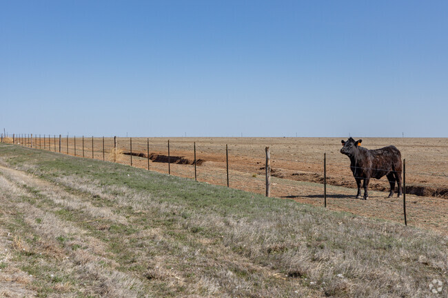 Hereford is the capital of America's cattle industry.