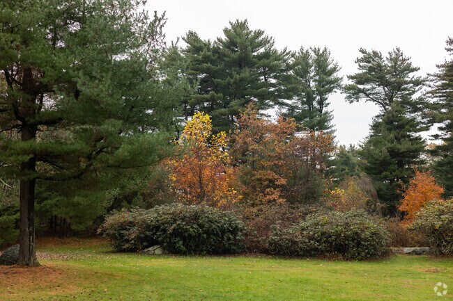 Hart's Brook Park & Preserve has 3.2 miles of walking paths.