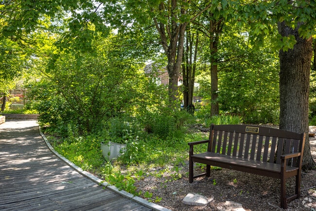 A shady place to rest on a maintained trail within Bernards.