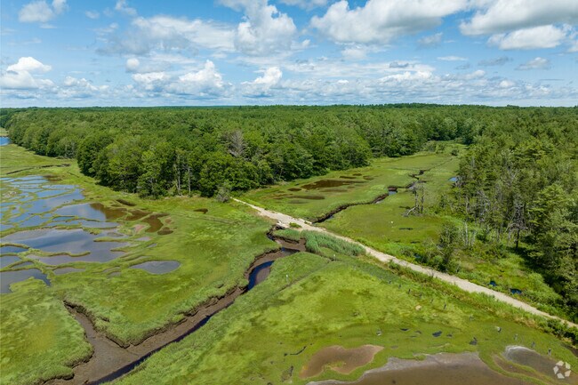 Kennebunk's Madelyn Marx Preserve is covered in lush greenery and wetlands.