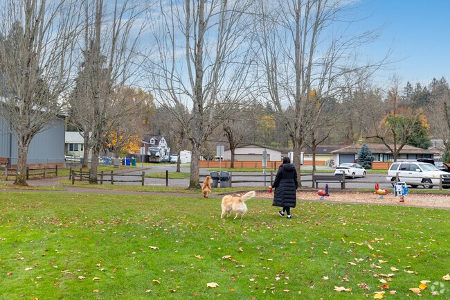 A woman plays with her dogs at Ann-Toni Schreiber Park on SE Clackamas Rd in Oatfield.