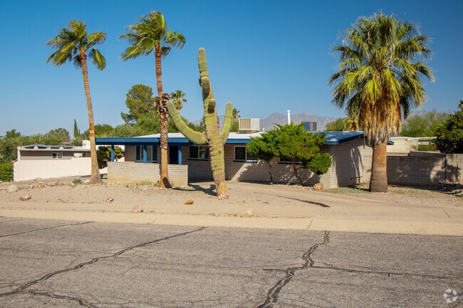 Estes Park homes are often dwarfed by the palms and cacti lining the suburban streets.