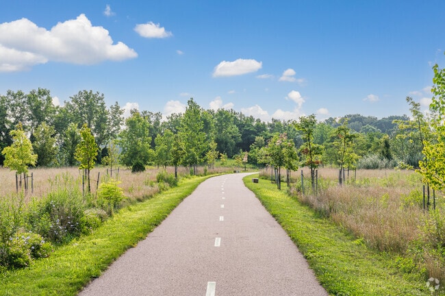 The All Purpose Trail meanders its way through Old Brooklyn.