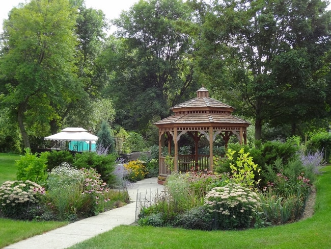 Carousel Image