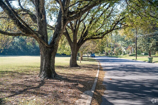 Admire nature at Audubon Park in Edgewood.