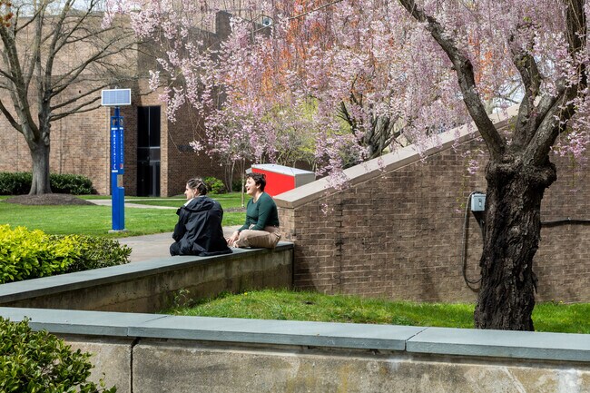 Sitting in the courtyard at Rutgers University in Camden.