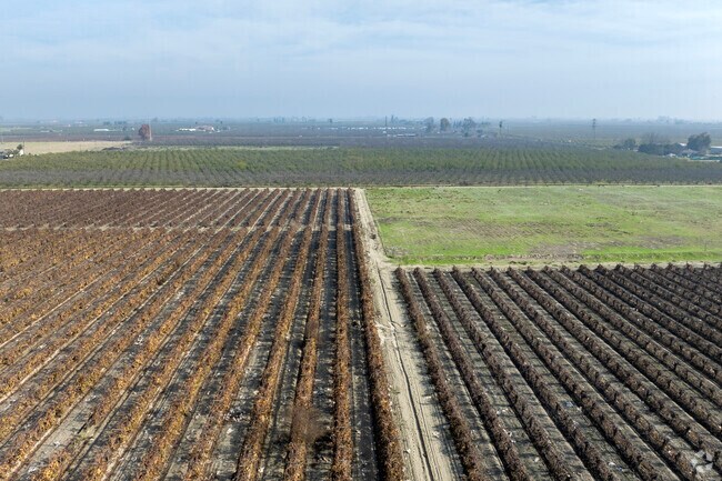 Winter months can bring thick fog from surrounding farmland into Selma.