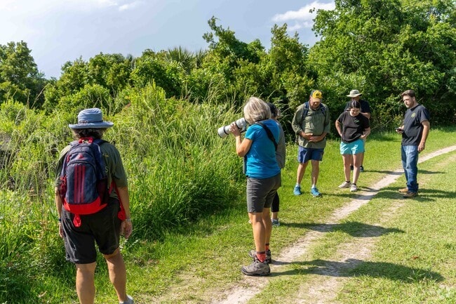 The Egans Creek Greenway guided walk is part of the Amelia Wild Festival.