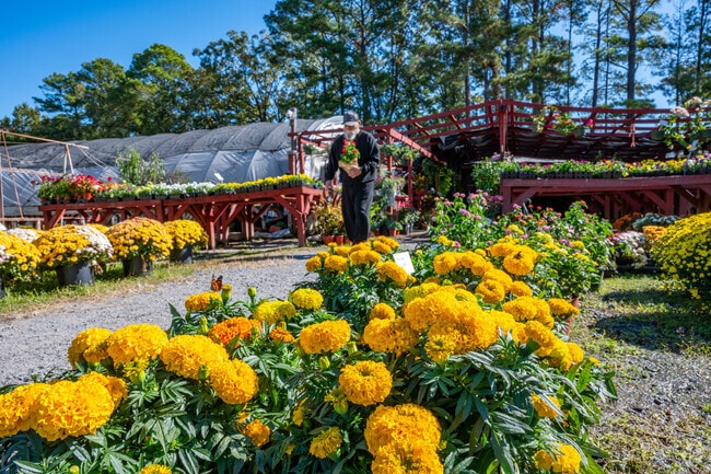 Sammy's Plant World has the largest selection of trees, plants and more in Brownsville.