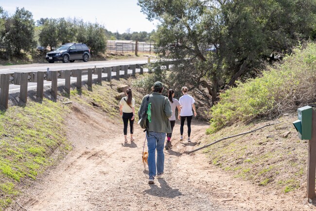 Once the sprawling Rancho El Nido ranch, Ventura River Preserve has remained relatively untouched and is a haven for over 300 animal and plant species.