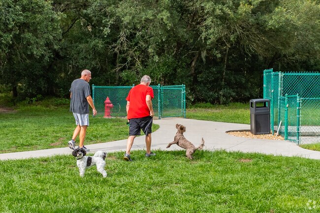 Let's all go to the dog park in the Villages of Citrus Hills.