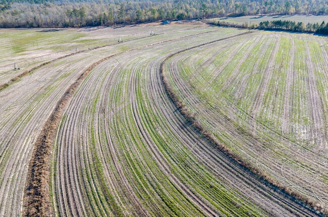 Much of the area around Pelion is used for farming.