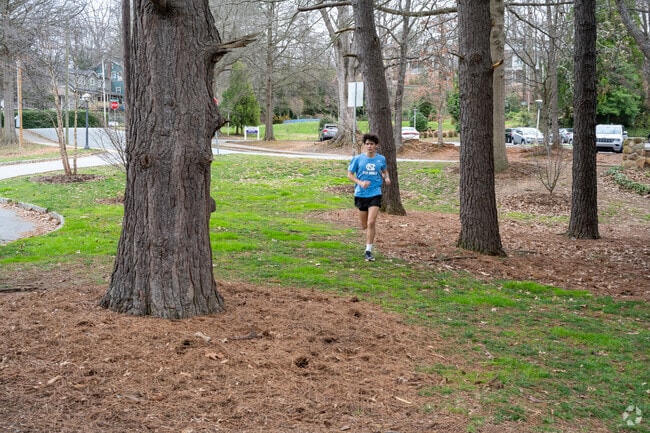 Locals come to Hanes Park in Winston-Salem to enjoy a run or walk.
