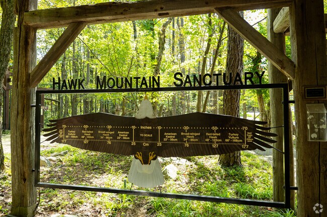 Hawk Mountain near Albany offers miles of trails where visitors can spot local raptors.