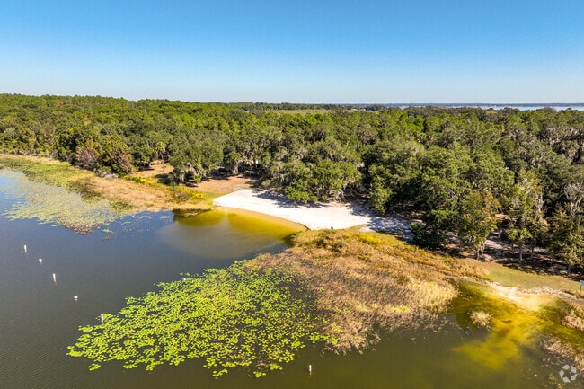 Lake view of Carney Island Recreation & Conservation Area on Lake Weir in Ocklawaha, Fl.