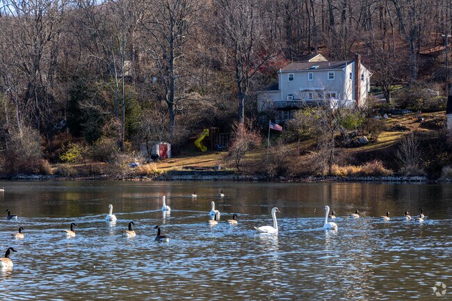 Wildlife thrives in Lake Tranquility in Green Township, NJ.