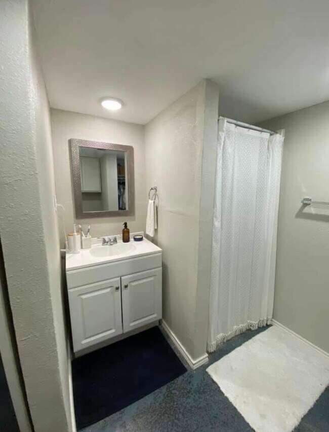 1108 Coit St unit Lower House, Denton, TX 76201 - photo 5