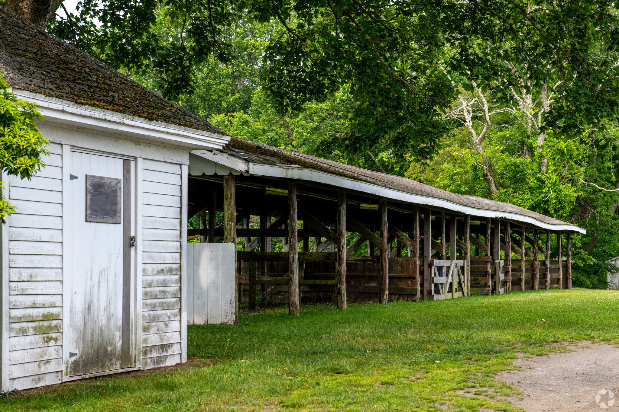 Horse, dog, and car shows are some of the possibilities at Glen Park in Portsmouth.