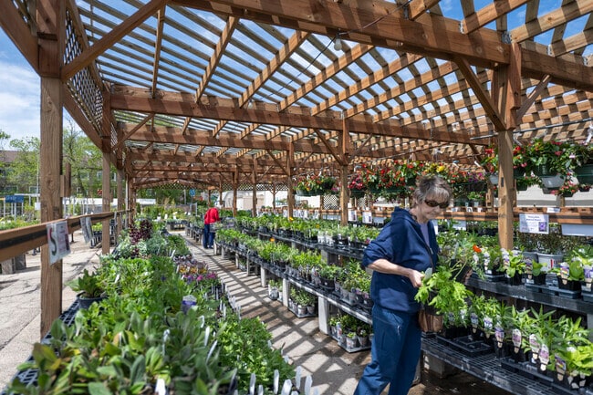 Jung Garden Center near Westport has all of your indoor and outdoor plant needs.